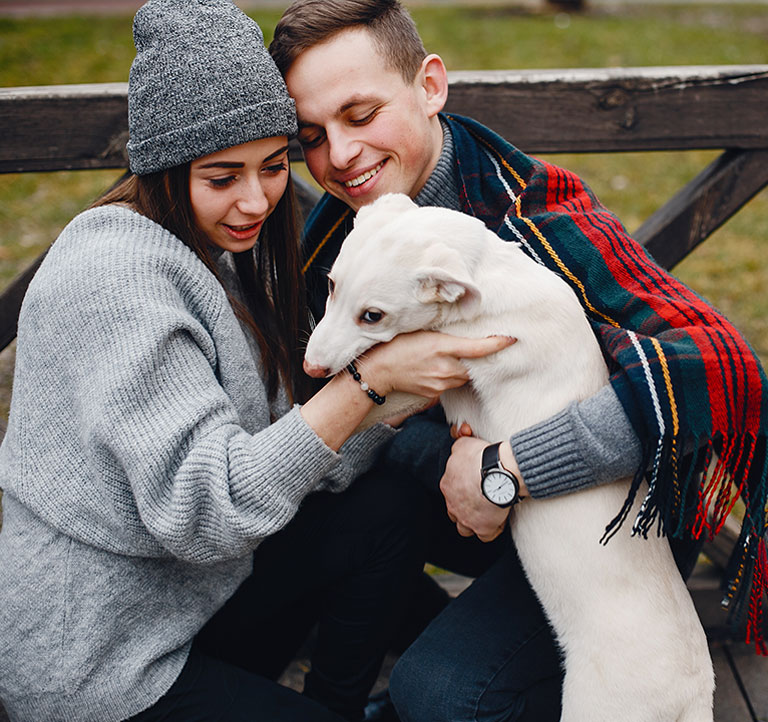 emotional support animal laws