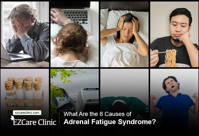 Adrenal Fatigue