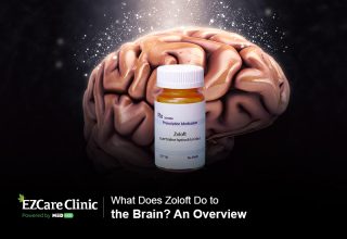 what does zoloft do to the brain