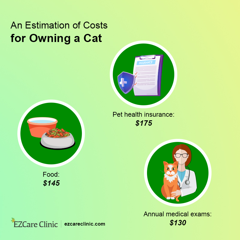 Emotional Support Animal