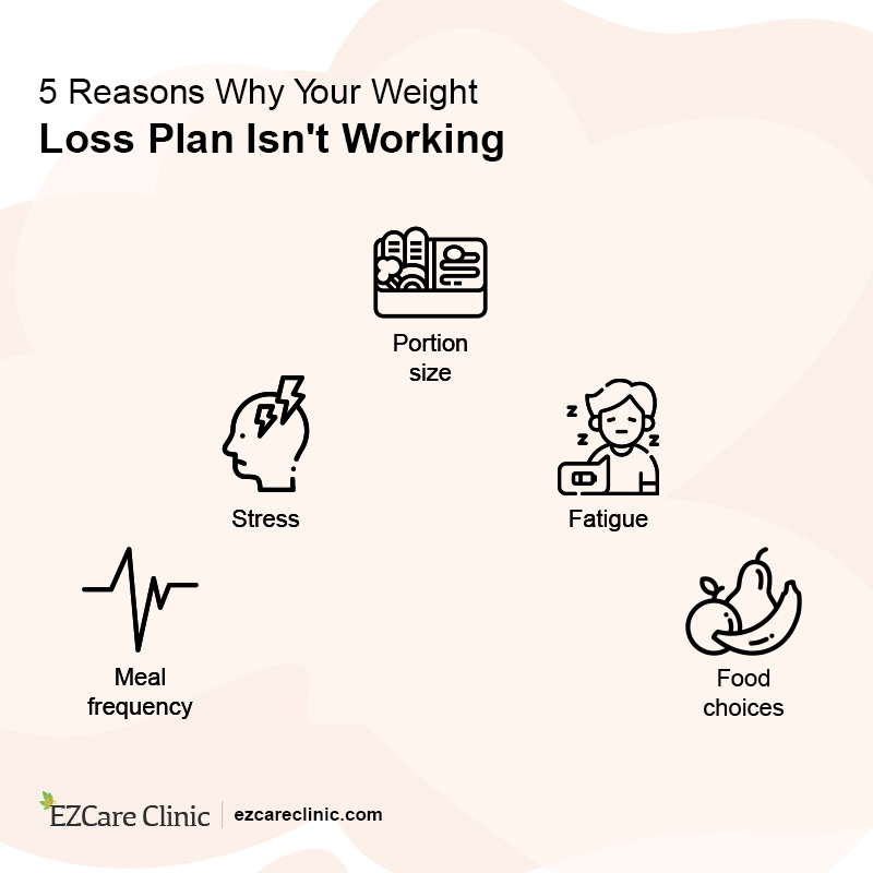 weight loss plan