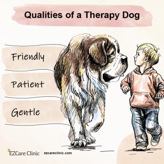 Therapy Dogs