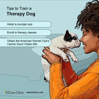 Therapy Dogs