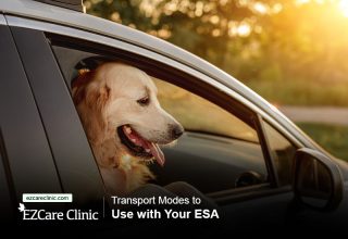 ESA Letter to landlord