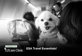 Emotional Support Animal